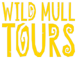 Mull Wild Tours